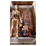 Vintage invisible man, with the skeleton parts,