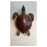 Antique taxidermy, small sea turtle full body