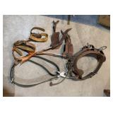 Climbing Gear, Harness/Belt and Spikes