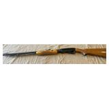 Remington Fieldmaster Model 572 .22 SL & LR