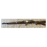 Remington .22 LR Only