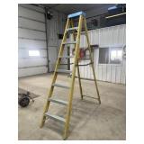 8' Pro Climb Ladder