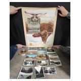 Clear Lake RMNP poster, pins and postcards