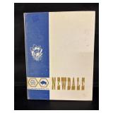 Newdale 1870-1970 Centennial book