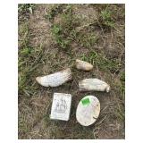 (5) Lot of Scrimshaw