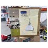 (2) Progress lighting P5305-15 pendant