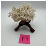 Natural Coral Display On Folding Wood Stand
