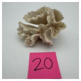Natural Coral Piece With Ruffled Formation