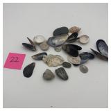 Mixed Lot Seashells And Small Stones