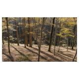 Lot 16 Lake View Dr