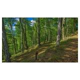 Lot 4 Savannah Dr