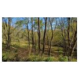 Lot 85 Blackberry Ridge Way