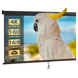 $80 RETRACTABLE PROJECTION SCREEN 100 INCH