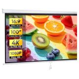 $80 RETRACTABLE PROJECTION SCREEN 100 INCH