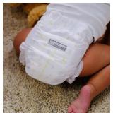 $56 KIRKLAND SIGNATURE DIAPERS 68-COUNT SIZE 2