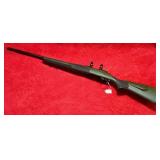 Remington Model 700 - 204 Ruger