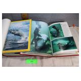 2 Pc 1984 Vol. 165-166 National Geographic