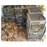 Milk Crates with Propane Cylinders