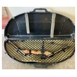 Brown Bear Bow with Case