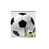 Circular Soccer Ball Back Drop A6