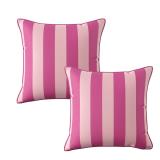 16x16in 2 Pack Pink Cabana Outdoor Pillow AZ46