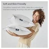 2pk Pacific Coast Feather Co. Pillows A2