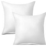 2pk 16x16 White Pillow Inserts A21