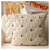 Set Of 2 Fall Pumpkin Decorative Throw Pillows A64