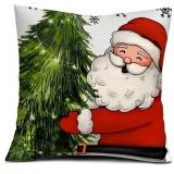 Set Of 4 Red Avoin Christmas Pillow Covers A97