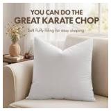Basic Home 28x28 Set Pillows A45