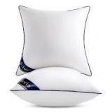 2pk Siluvia 24x24 Plush Pillow Inserts B106