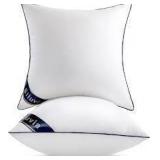 2pk Siluvia 28x28 Pillow Inserts B100