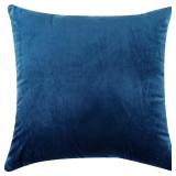 18' x 18' (Pack of 2) Throw Pillow Covers AZ22
