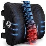 Lumbar Support Cushion A24