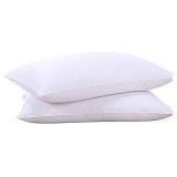 Natural Goose Down Pillows Set of 2 Standard A25