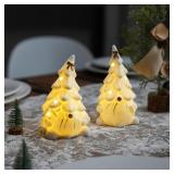 White 2ct Christmas Tree Lighted Gnome A97
