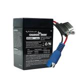 Schumacher Electric Charge ï¿½n Ride Battery 6V AZ3