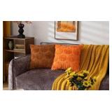 2X/BID 4ct Fall Pumpkin 18x18' Pillow Cover A107