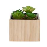 U Brands Planter Diversion Safe,Money Box A22