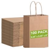 100 Pack Small Paper Gift Bags with Handles AZ6