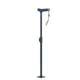 Sharper Image Deluxe Cane a24