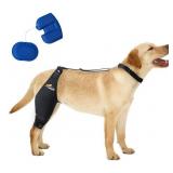 Dollephi Dog Knee Brace for Torn ACL AZ43