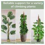 K Brands Moss Poles Plant Support 2pk 28' A22
