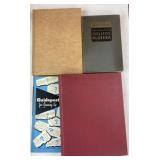 (4) Vintage Books, they have some discoloration