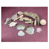 Assorted seashells and other nautical decor