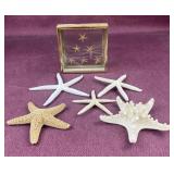 (6) pieces of Starfish decor
