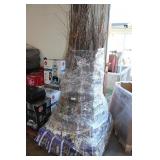 Fruit Trees - Qty 150