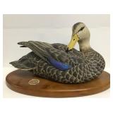 Ducks Unlimited Plaque Mounted Mallard Duck
