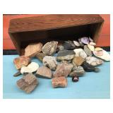 Small Box Of Rocks And Shells