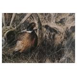 Darren Haley 'The New Homsteader' 828/3000